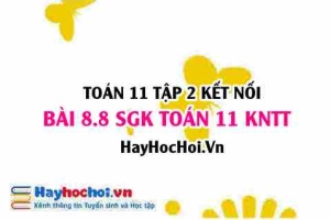 Bài 8.8 SGK Toán 11 Tập 2 Kết nối tri thức